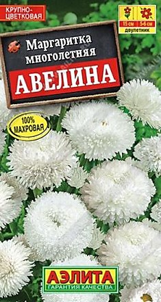Семена Маргаритка Авелина крупноцветковая