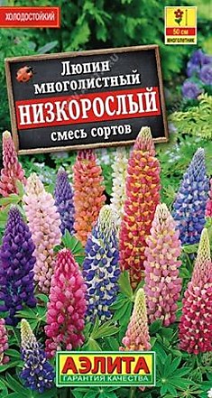 Семена Люпин низкорослый