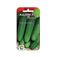 Семена Огурец Адам 